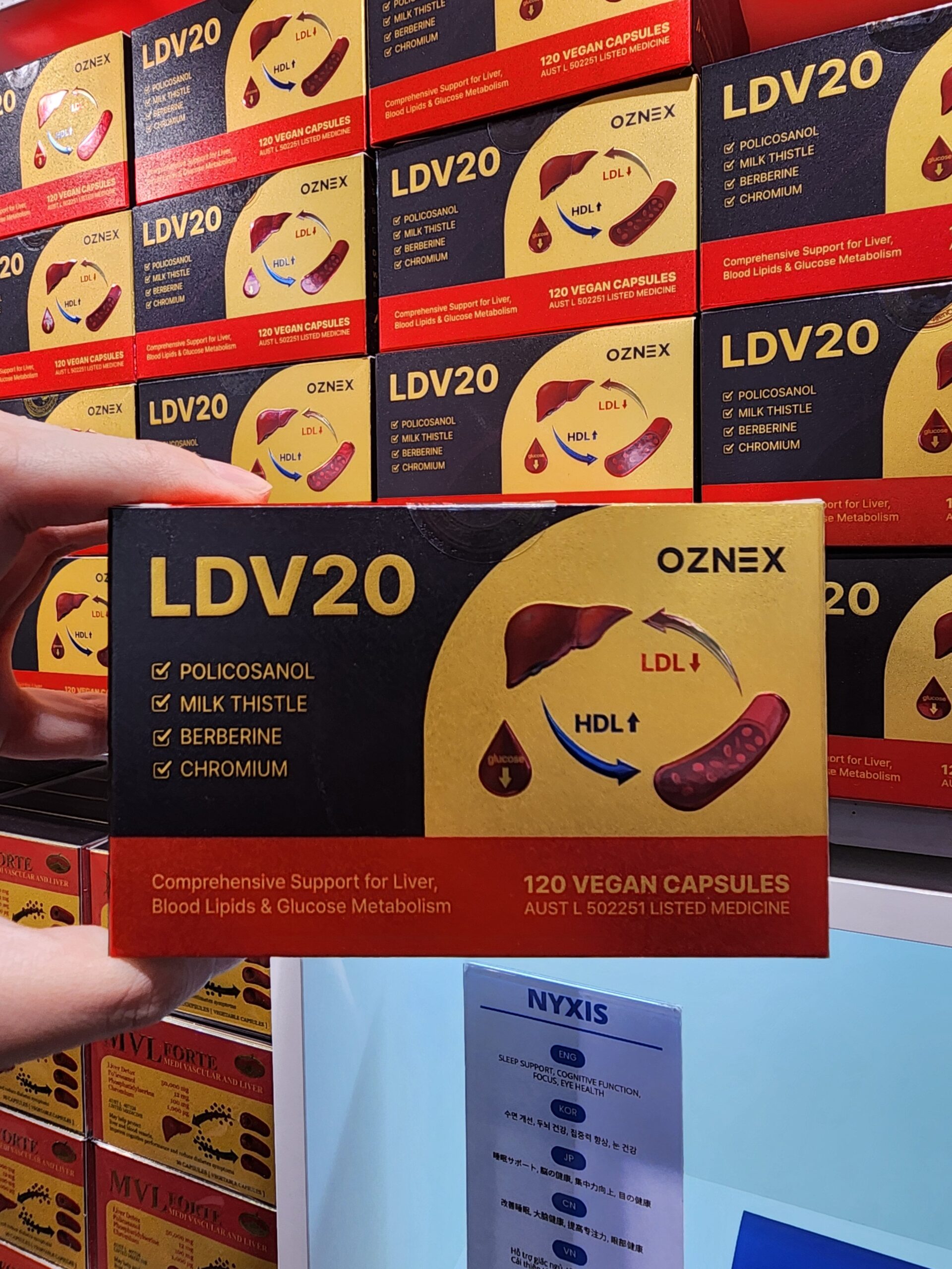LDV20 부모님 선물