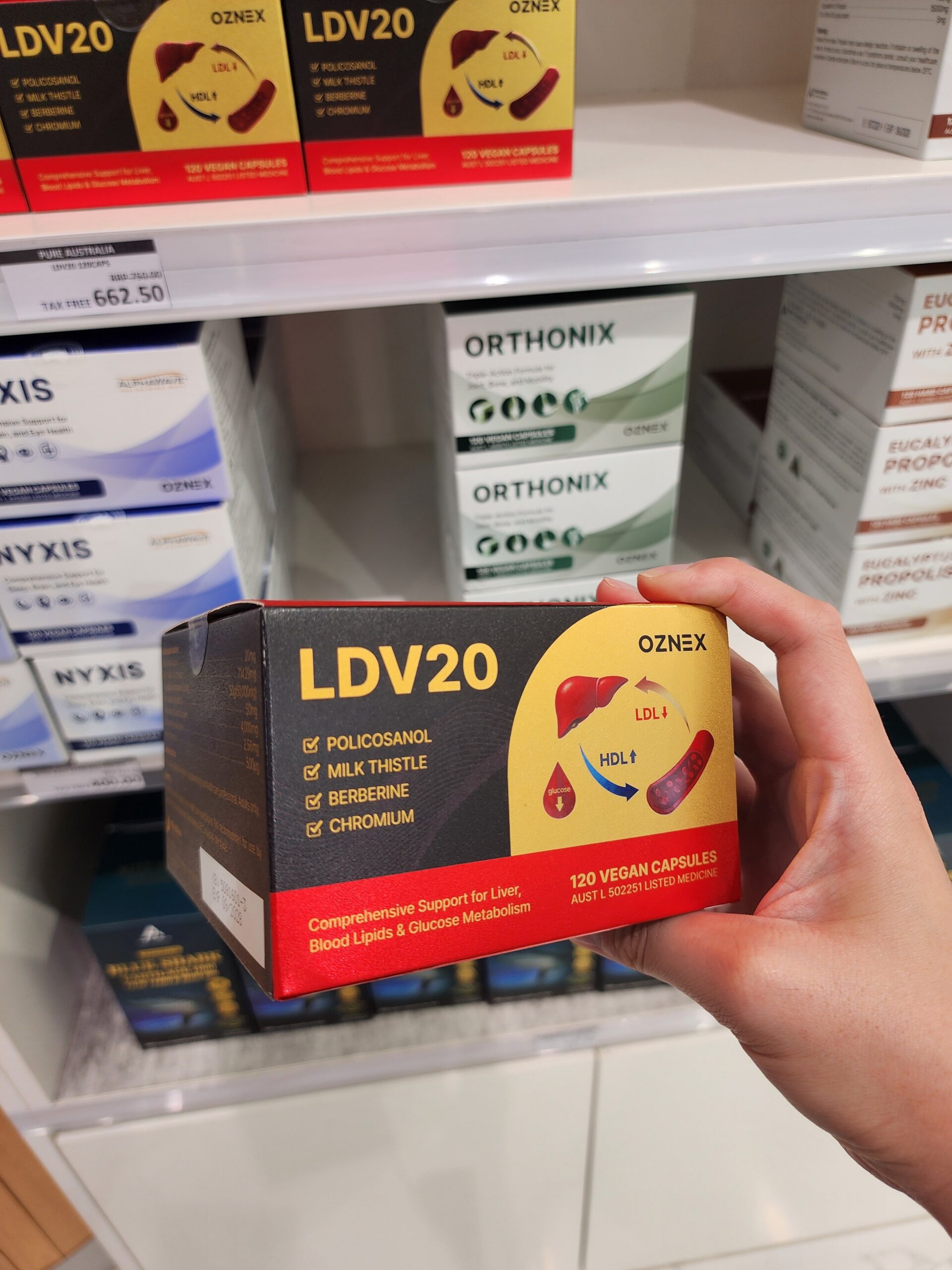 LDV20 부모님 선물