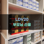 LDV20 선정 시 고려해야 할 요소